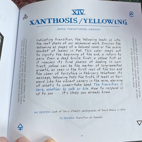 *SOLD* EUC Wild Unknown Alchemy Oracle Deck 🐍✨ Kim Krans - Picture 7 of 7